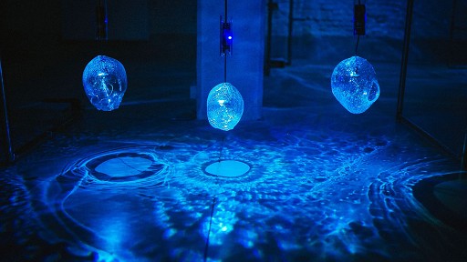 Supraorganism Justine Emard